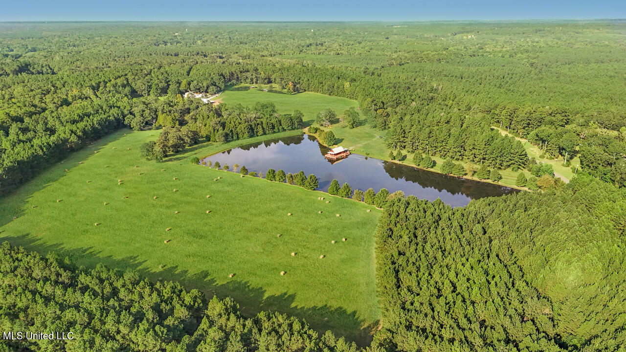 2053 Osyka Progress Road Osyka, MS 39657 - Photo 78 of 79 Drone lake & hayfield from north