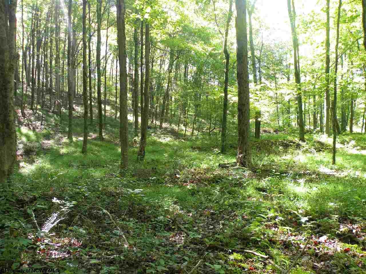 381 Co Rte 1/1 Bridgeport, WV 26330 - Photo 14 of 19 Gallery Image 14