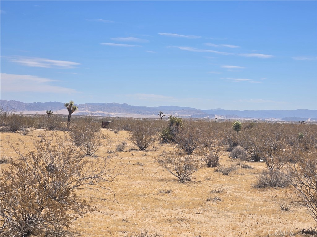 1577 Mc Garry Road Joshua Tree, CA 92252 - Photo 2 of 8