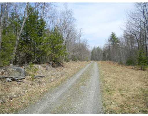24 Gray Valley Road Guilford, ME 04443 - Photo 2 of 15 Land. Grey Valley Road, land is on left