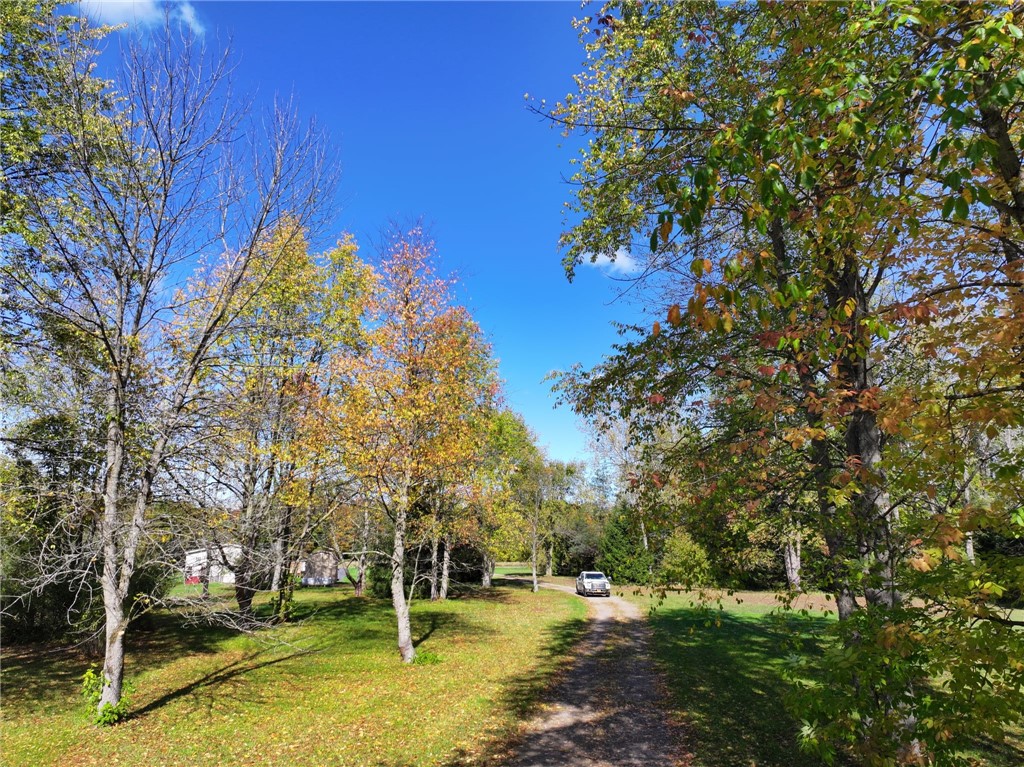 13562 Jenkins Road Red Creek, NY 13143 - Photo 10 of 22