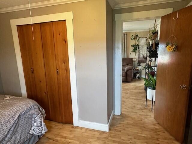 68 Trafford Road Blaine, ME 04734 - Photo 22 of 45 thumbnail_IMG_6002