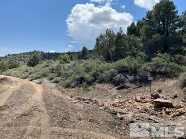 4720 Lost Burro Road, Unit 473 Reno, NV 89521 - Photo 5 of 8 a view of a yard