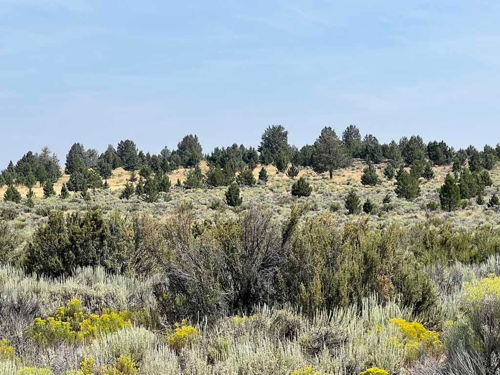 Yellow Jacket Springs Road, Unit 1200 Beatty, OR 97621 - Photo 25 of 32 IMG_6634