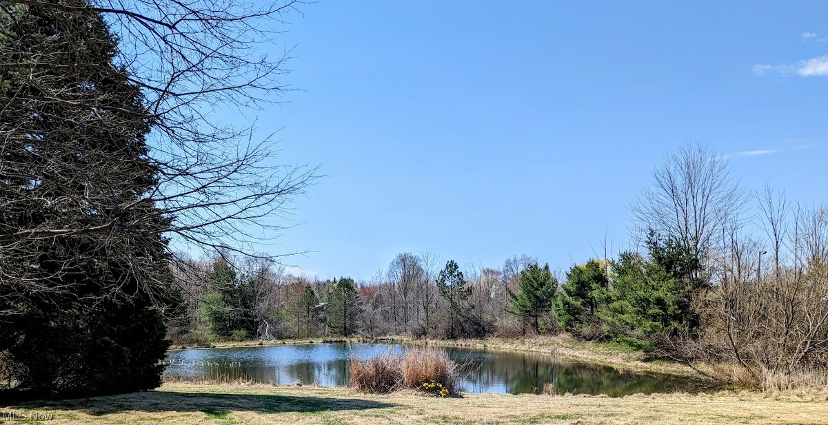 8881 Ravenna Road Chardon, OH 44024 - Photo 6 of 35