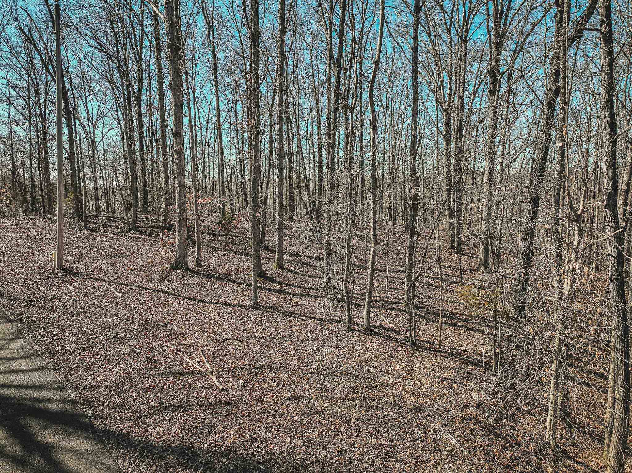 Lot 0425 Fawn Ridge Road Parsons, TN 38363 - Photo 9 of 21 a view of a backyard with trees