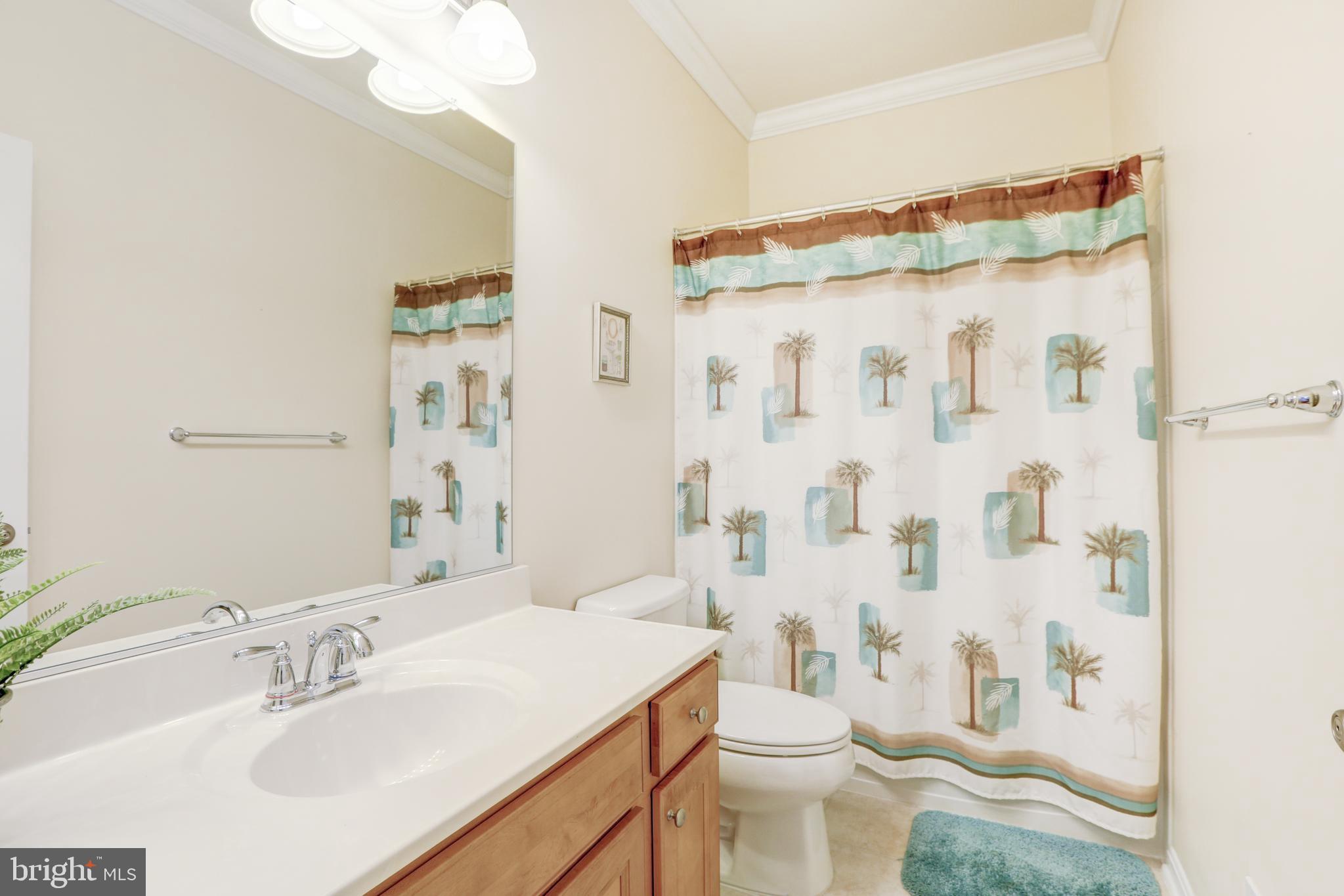 632 Red Maple Road Middletown, DE 19709 - Photo 32 of 83 Gallery Image 32