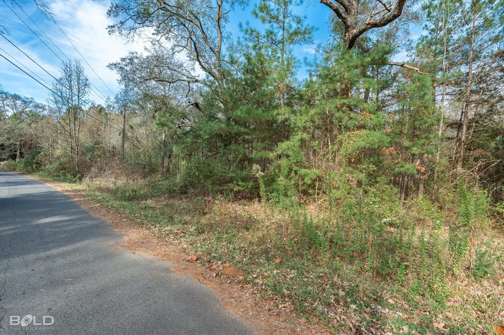 0 Camelia Street Vivian, LA 71082 - Photo 13 of 13 View of asphalt road with a forest view