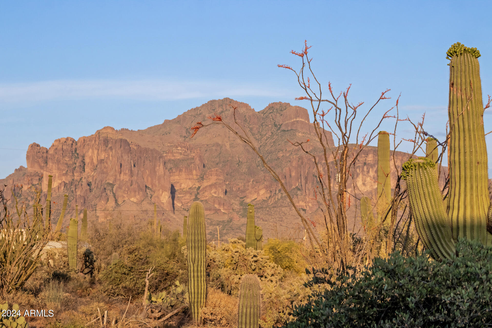 5353 North Winchester Road Apache Junction, AZ 85119 - Photo 51 of 82 51 - Winchester