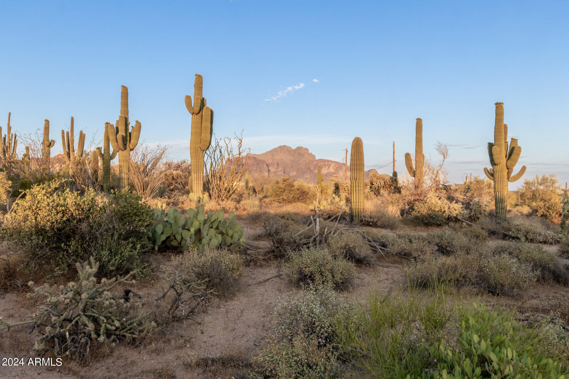 5353 North Winchester Road Apache Junction, AZ 85119 - Photo 61 of 82 61 - Winchester