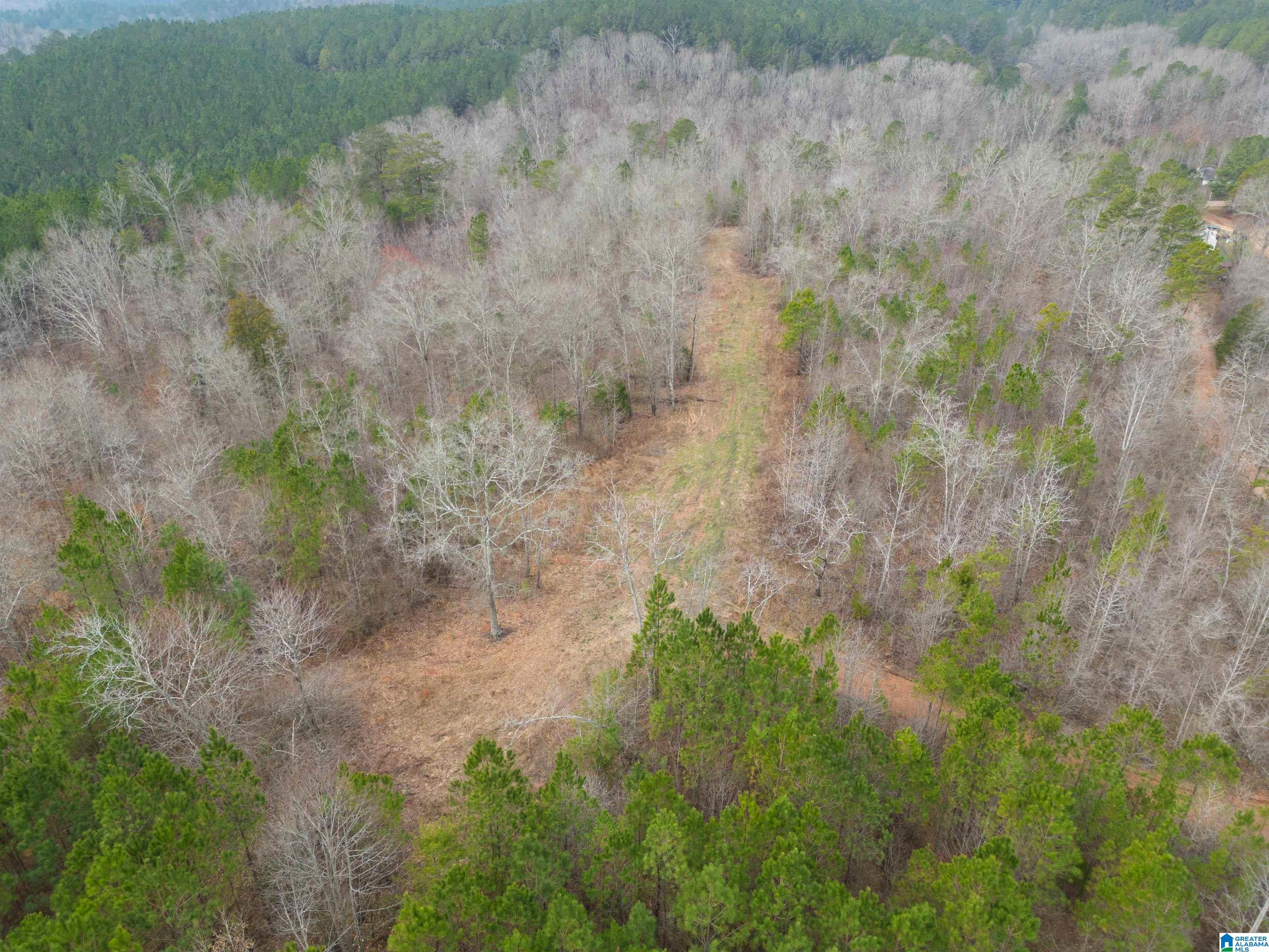 3036 County Road 7 Wedowee, AL 36278 - Photo 16 of 17