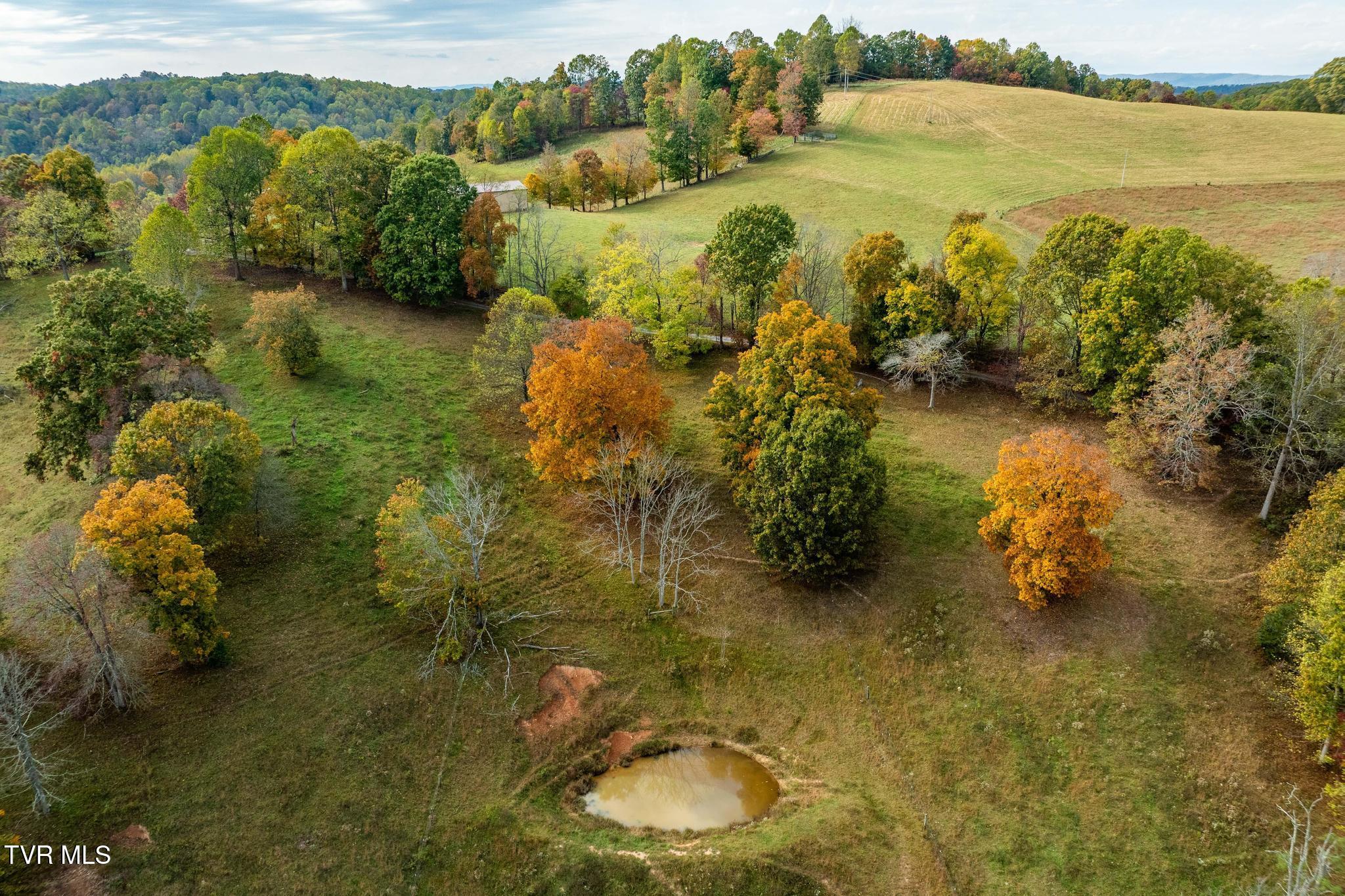348 Clinch Valley Road Eidson, TN 37731 - Photo 50 of 120 348 Clinch Valley Rd (39 of 116)