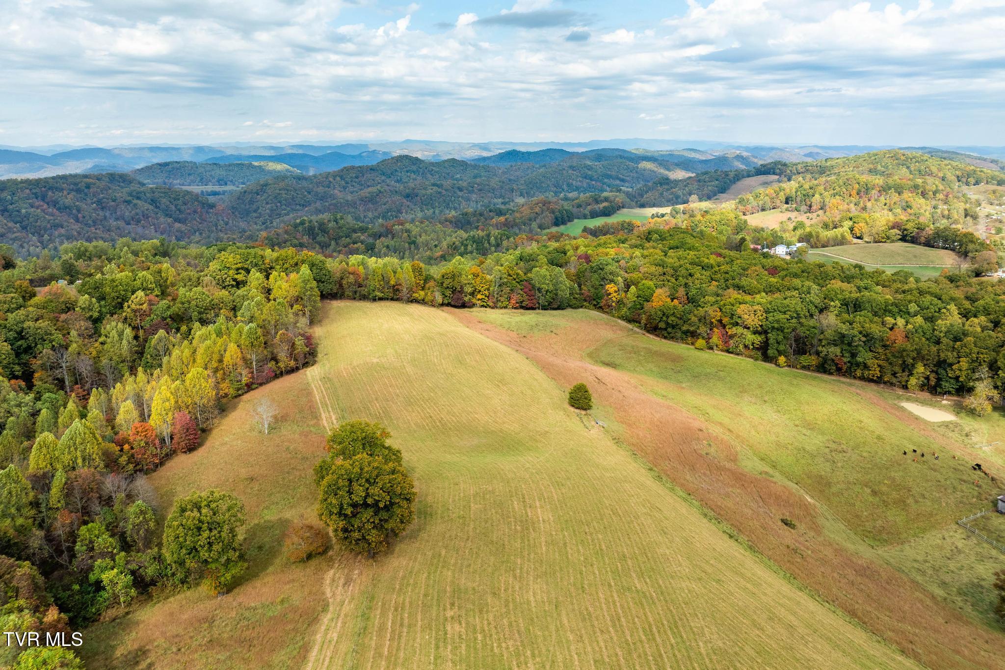 348 Clinch Valley Road Eidson, TN 37731 - Photo 66 of 120 348 Clinch Valley Rd (53 of 116)