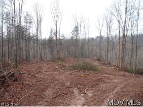 0 C Road Charleston, WV 25302 - Photo 6 of 8