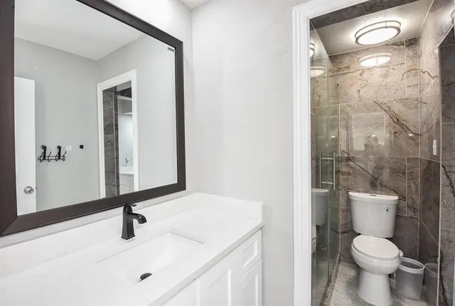 a bathroom with a sink a toilet and a mirror