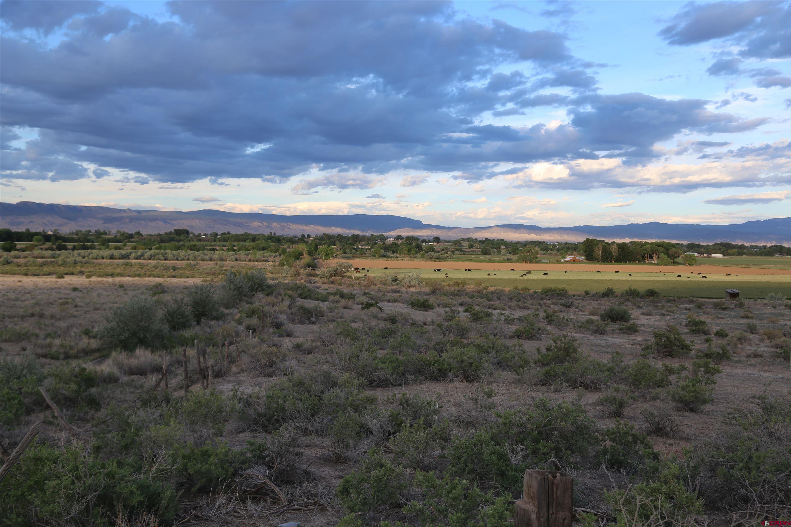 Tdb 5950th Road Montrose, CO 81403 - Photo 4 of 12 a view of an outdoor space with mountain view