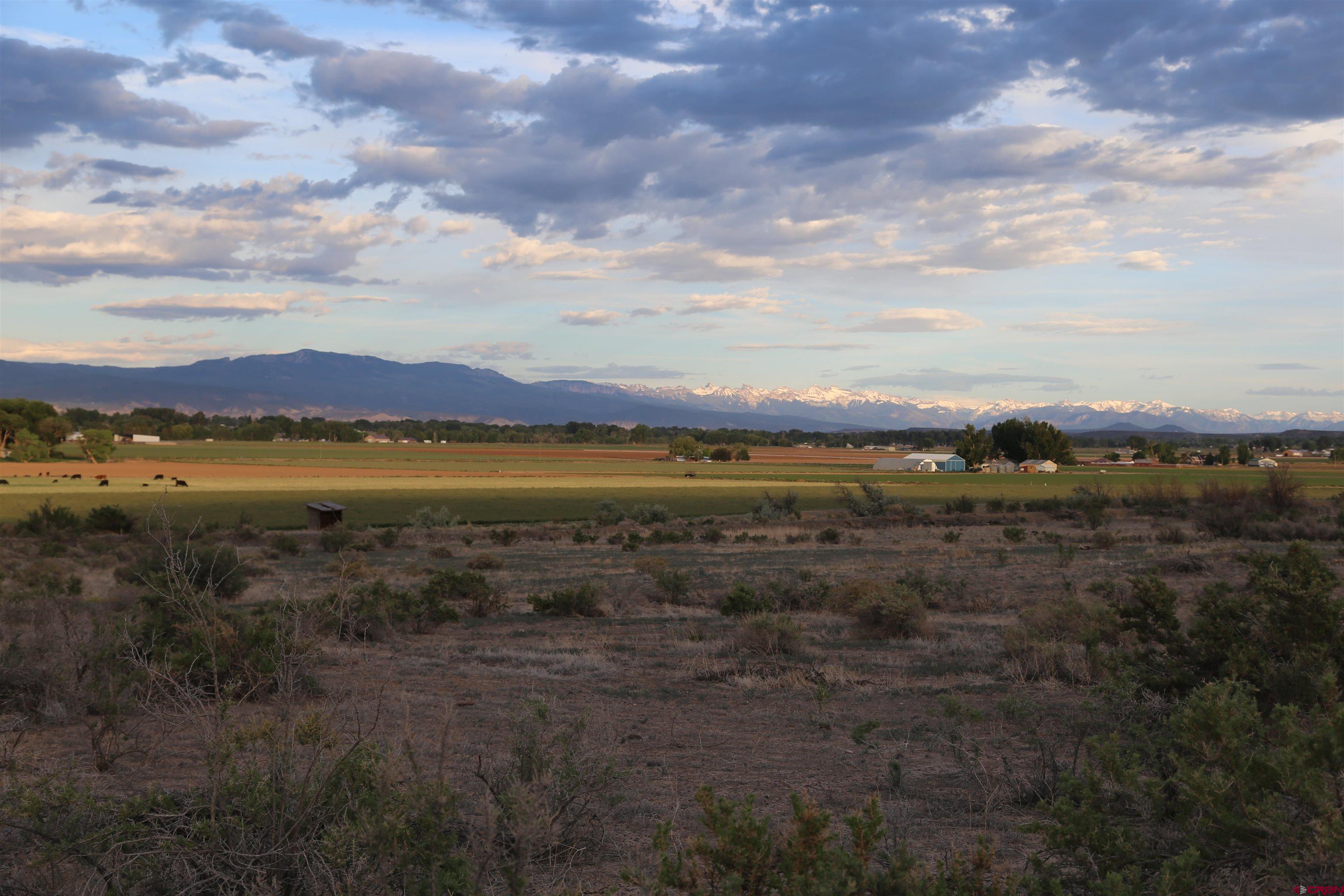 Tdb 5950th Road Montrose, CO 81403 - Photo 5 of 12 a view of an outdoor space with mountain view in back