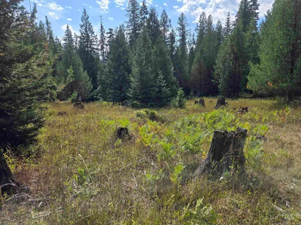 $100,000 | Tbd #7 Hjalmar Johnson Road, Weippe, ID 83553
