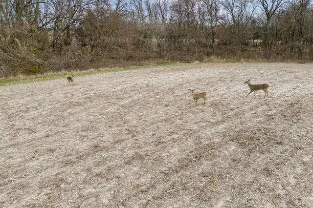 $2,346,000 | 9995 Fm 2862, Anna, TX 75409