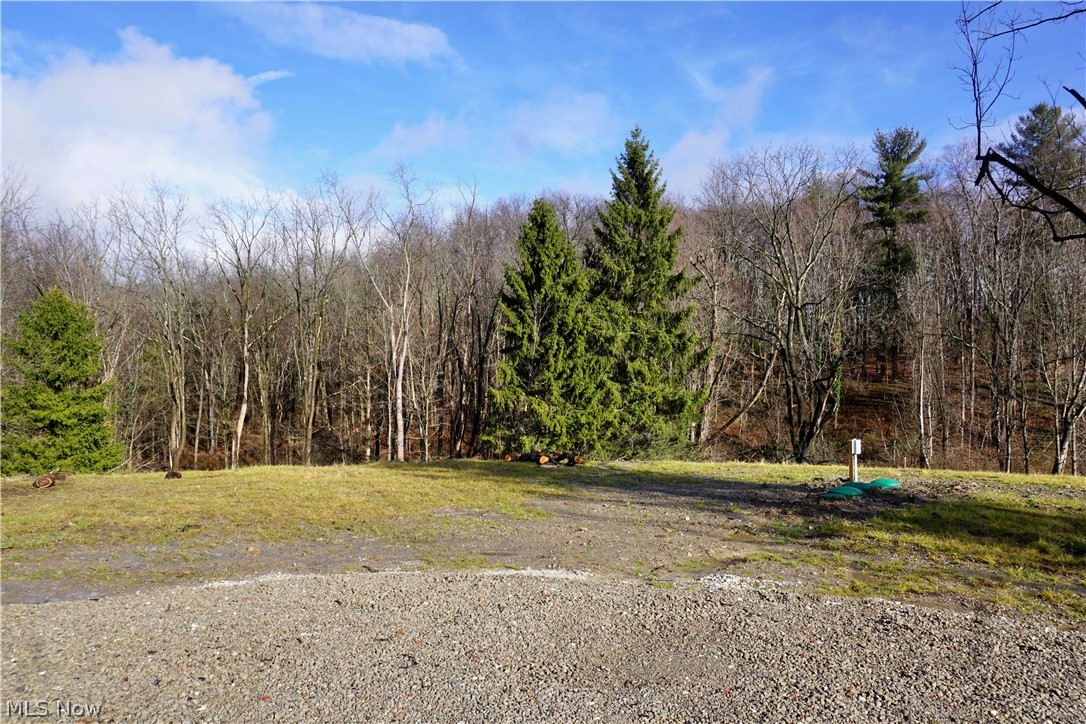 11040 Mayfield Road Chardon, OH 44024 - Photo 2 of 26 Rear yard backs up to ravine & woods.