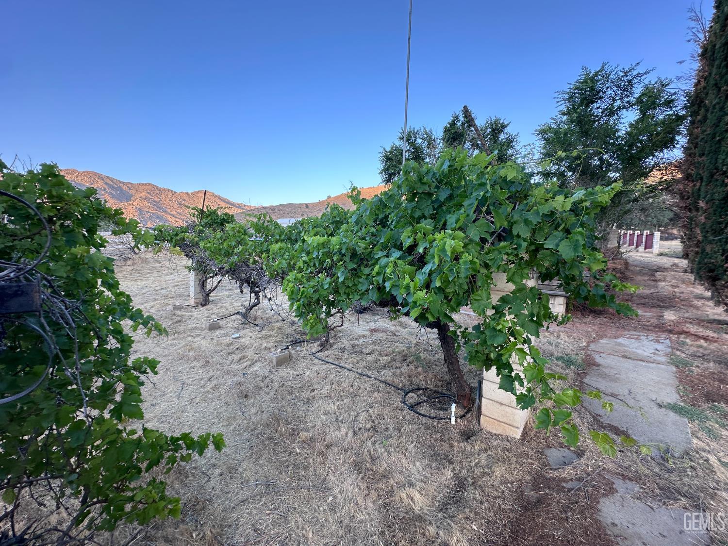 Undisclosed Address Bodfish, CA 93205 - Photo 61 of 61