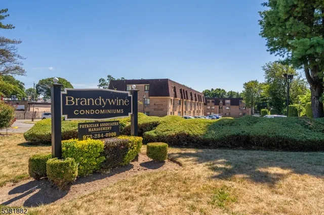 a view of a street with potted plants and a building