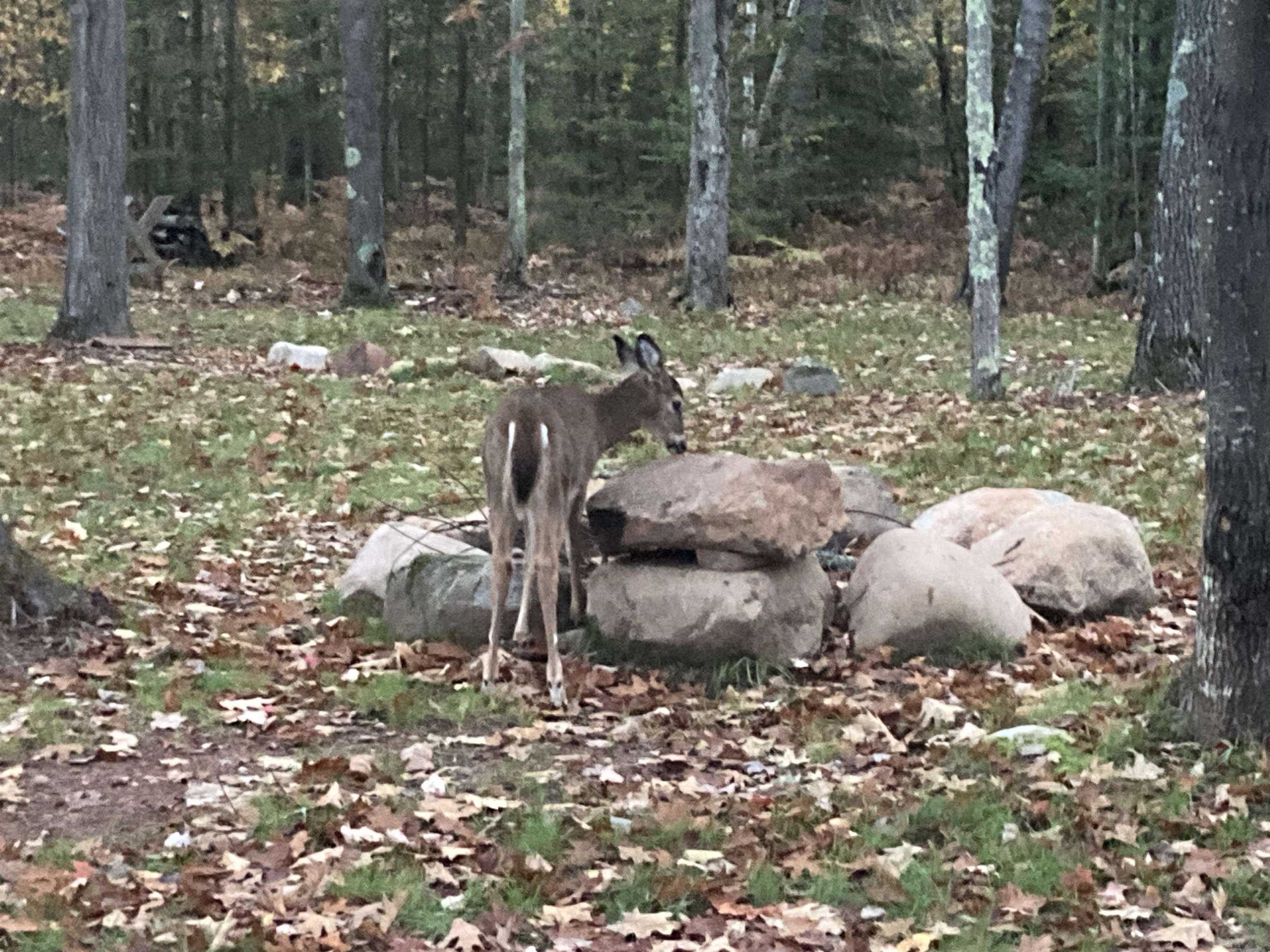 14334 East Eagle Ridge Brule, WI 54820 - Photo 16 of 26 Exterior view
