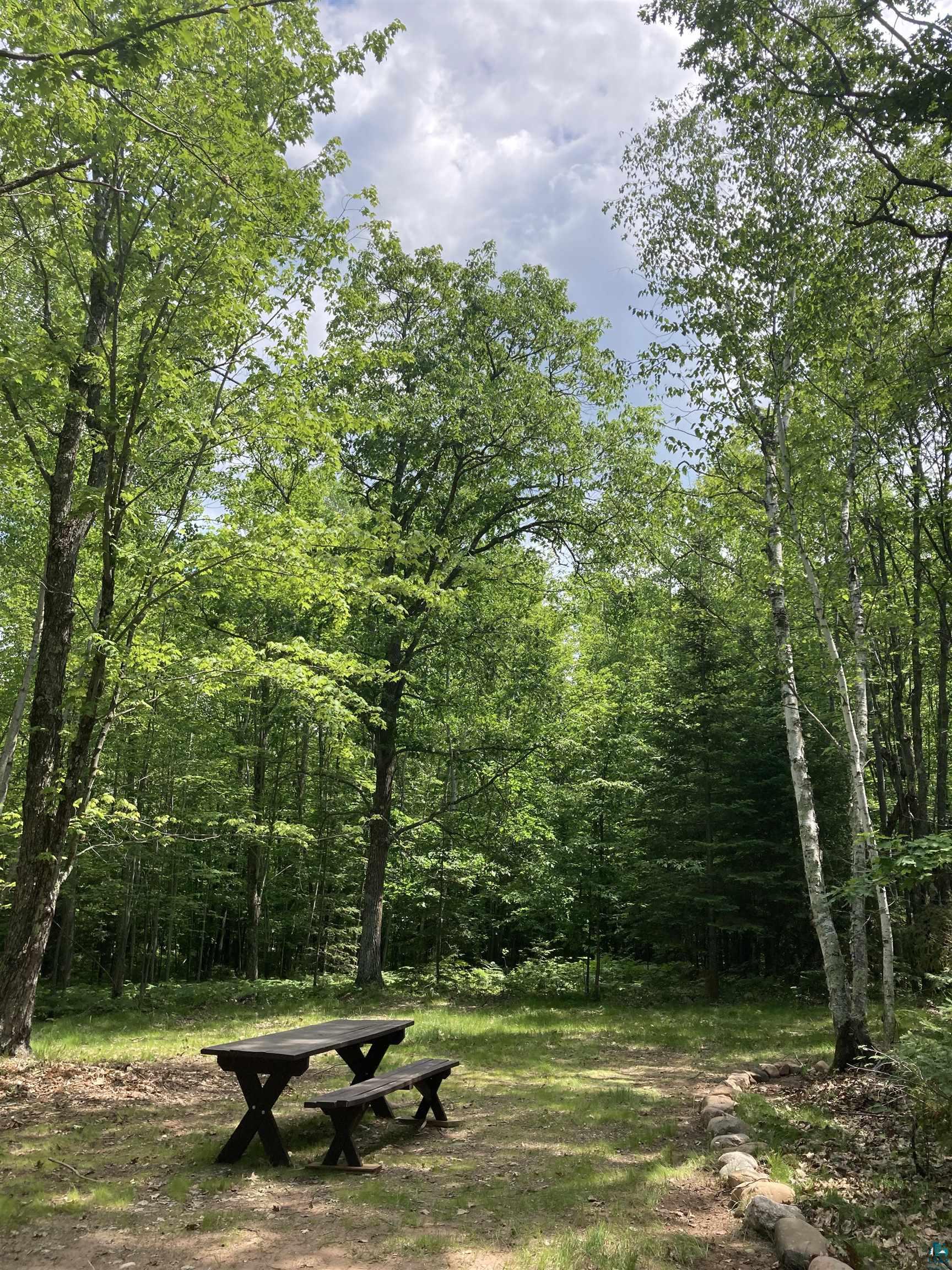 14334 East Eagle Ridge Brule, WI 54820 - Photo 17 of 26 View of home's community with a wooded view