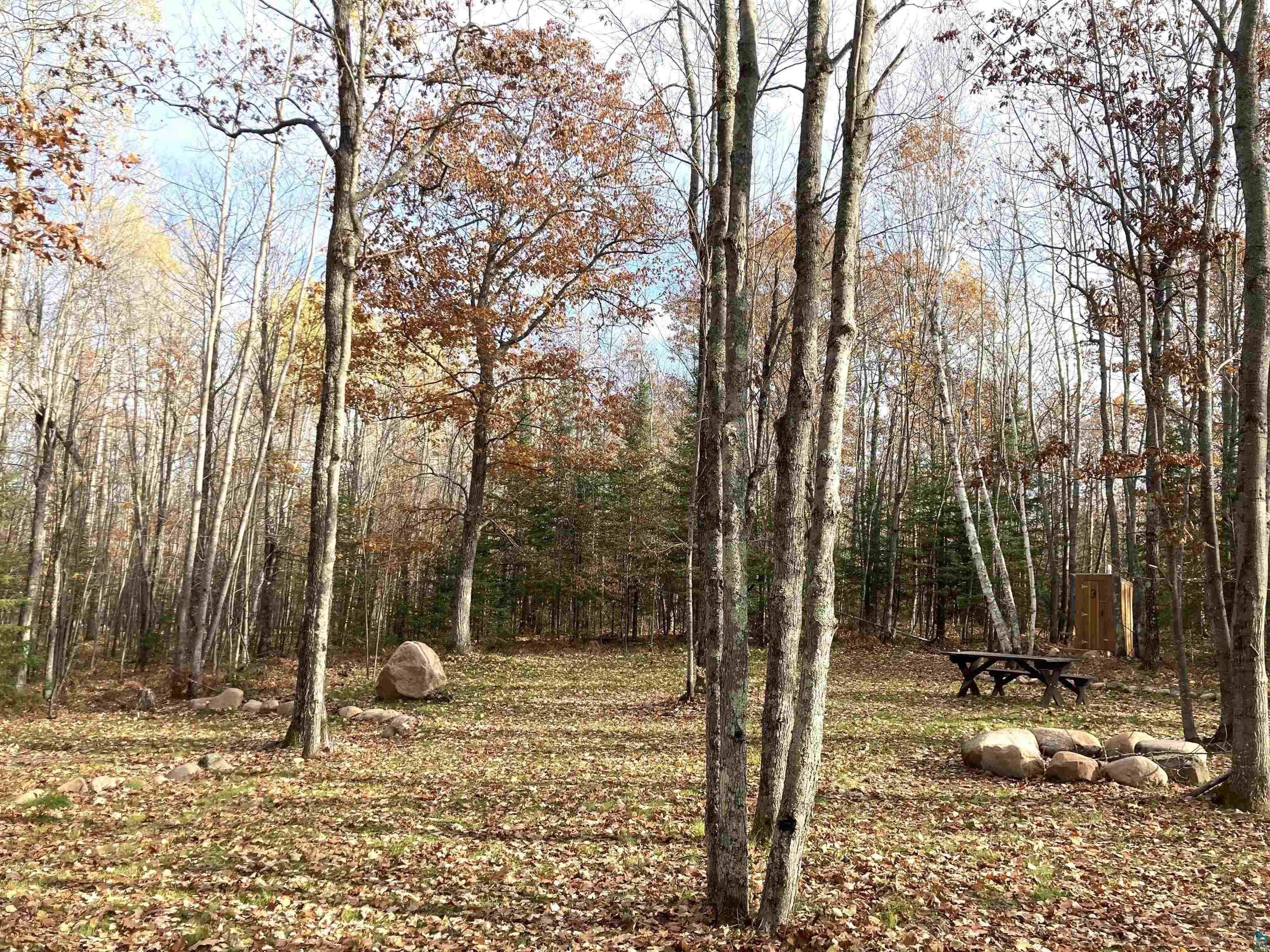 14334 East Eagle Ridge Brule, WI 54820 - Photo 4 of 26 View of wooded area