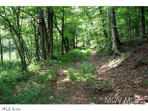 0 Davy Cain Road Harrisville, WV 26362 - Photo 3 of 6 Gallery Image 3