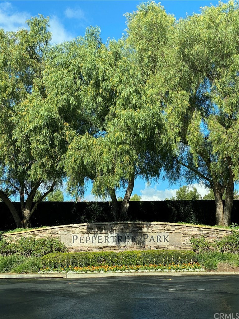 a view of a swimming pool with an outdoor space