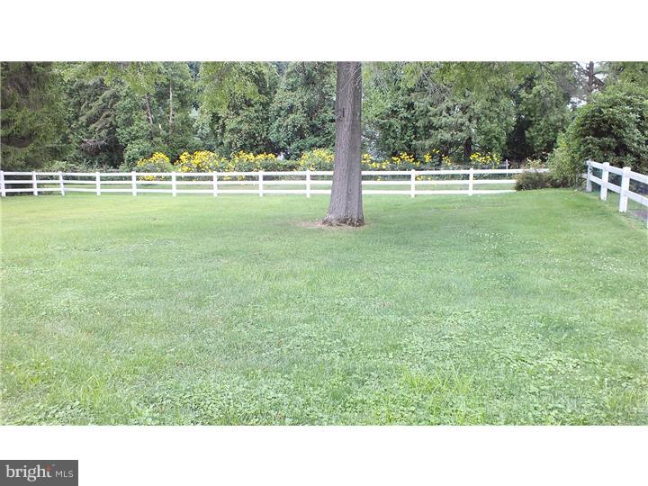 Side Yard