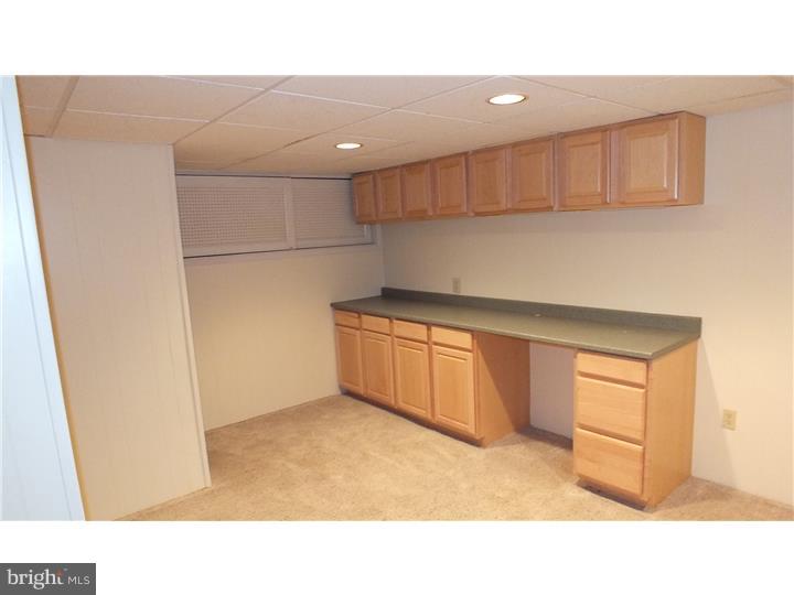 3669 Concord Road Doylestown, PA 18902 - Photo 23 of 24 Basement - Finished