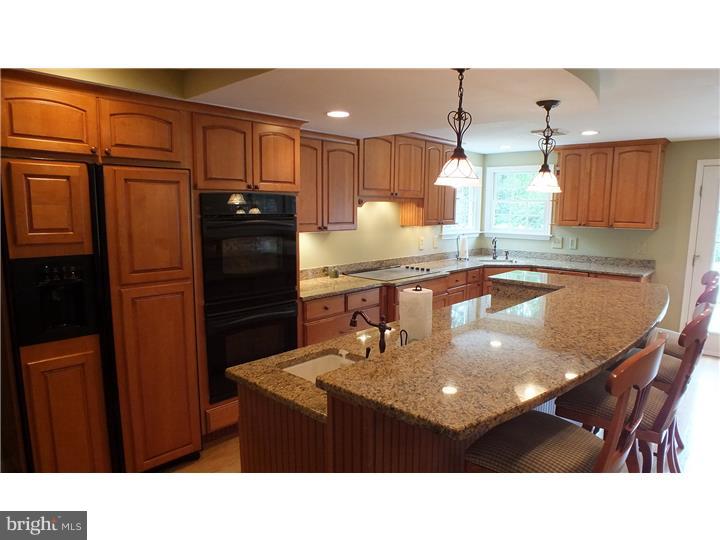 3669 Concord Road Doylestown, PA 18902 - Photo 10 of 24 Kitchen