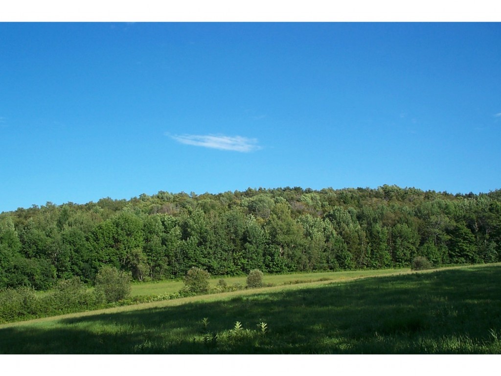 0 Sayer Road South Royalton, VT 05068 - Photo 1 of 1