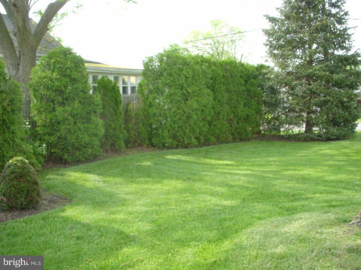 641 Klockner Road Hamilton, NJ 08619 - Photo 3 of 15 Back Yard