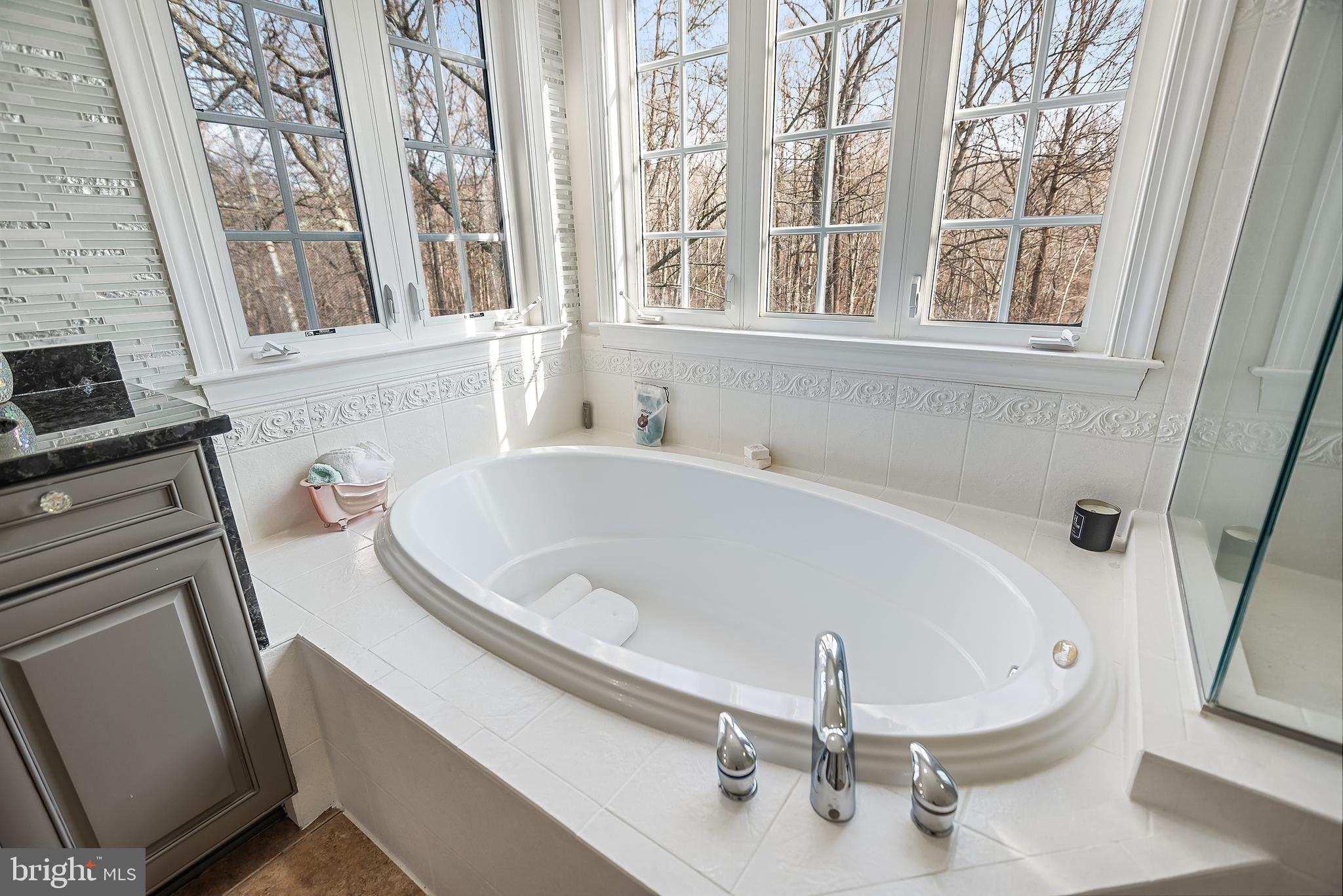 14255 Howard Road Dayton, MD 21036 - Photo 76 of 134 Gallery Image 76