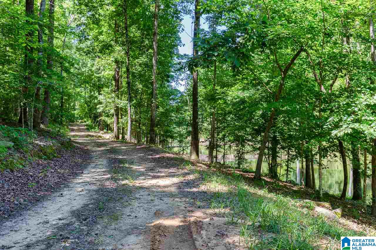 345 Timberview Trail Chelsea, AL 35043 - Photo 13 of 15