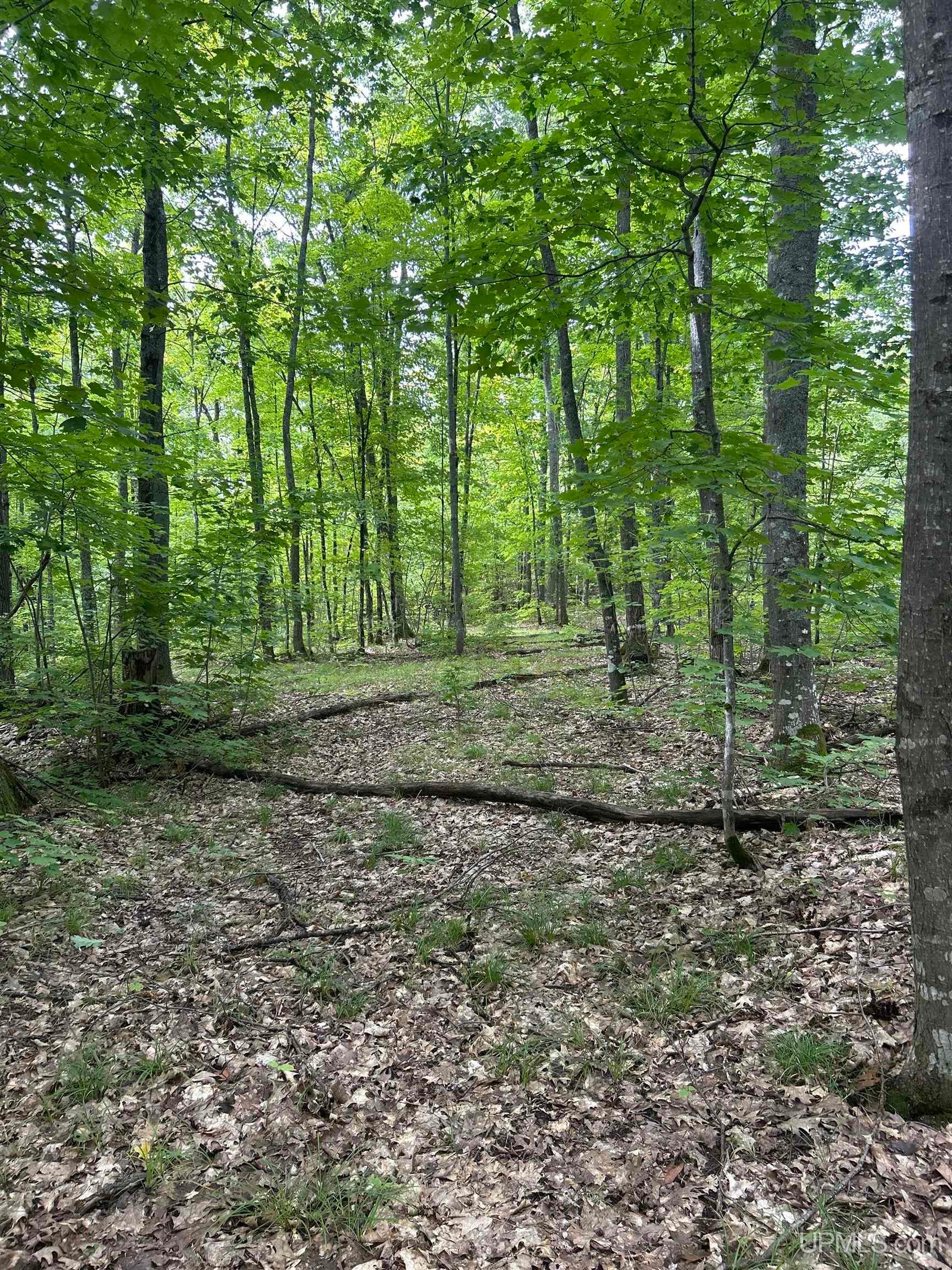 Tbd Victoria Road Ewen, MI 49925 - Photo 19 of 24 Gallery Image 19