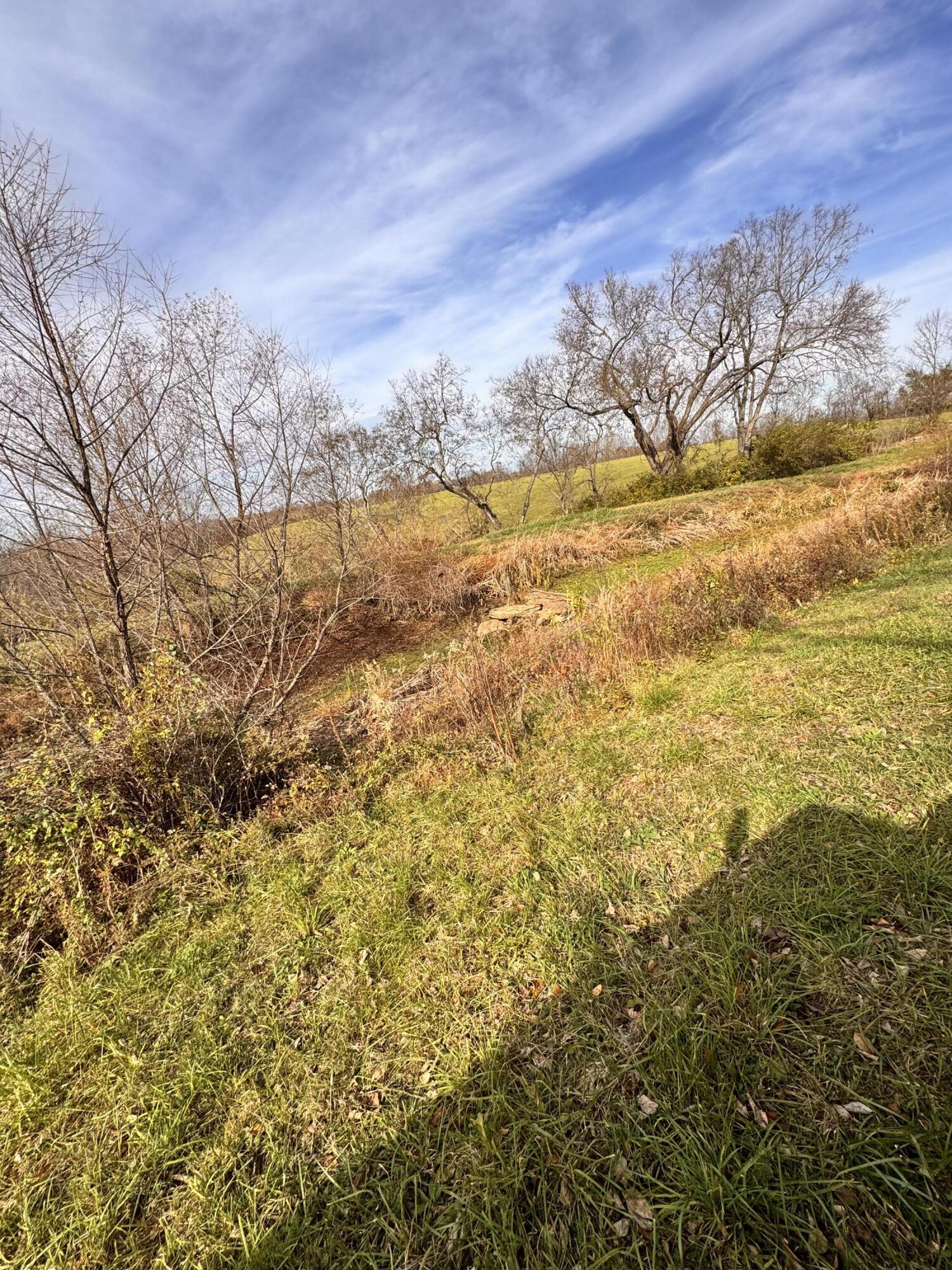 0 Bethel Road Lancaster, KY 40444 - Photo 5 of 19 IMG_8502