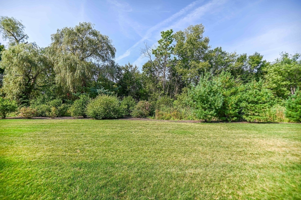 74 Cox Street, Unit 8 Hudson, MA 01749 - Photo 25 of 27