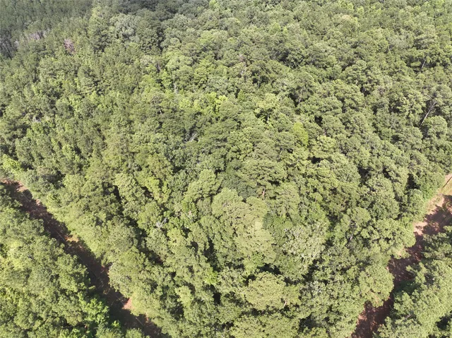 $45,000 | 3 Highway 21, San Augustine, TX 75972