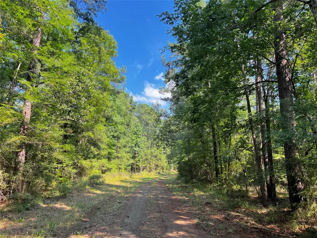$45,000 | 3 Highway 21, San Augustine, TX 75972