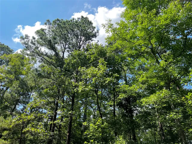 $45,000 | 3 Highway 21, San Augustine, TX 75972