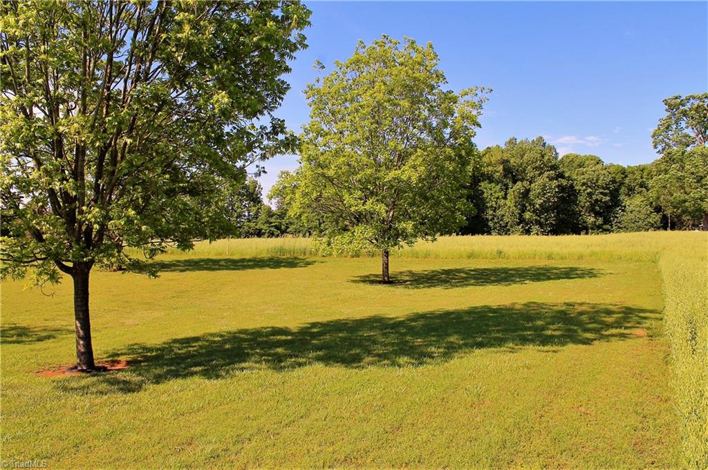 905 Sink Road Lexington, NC 27295 - Photo 27 of 30 Gallery Image 27
