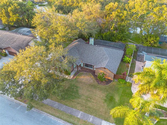 a view of a backyard with plants and a patio