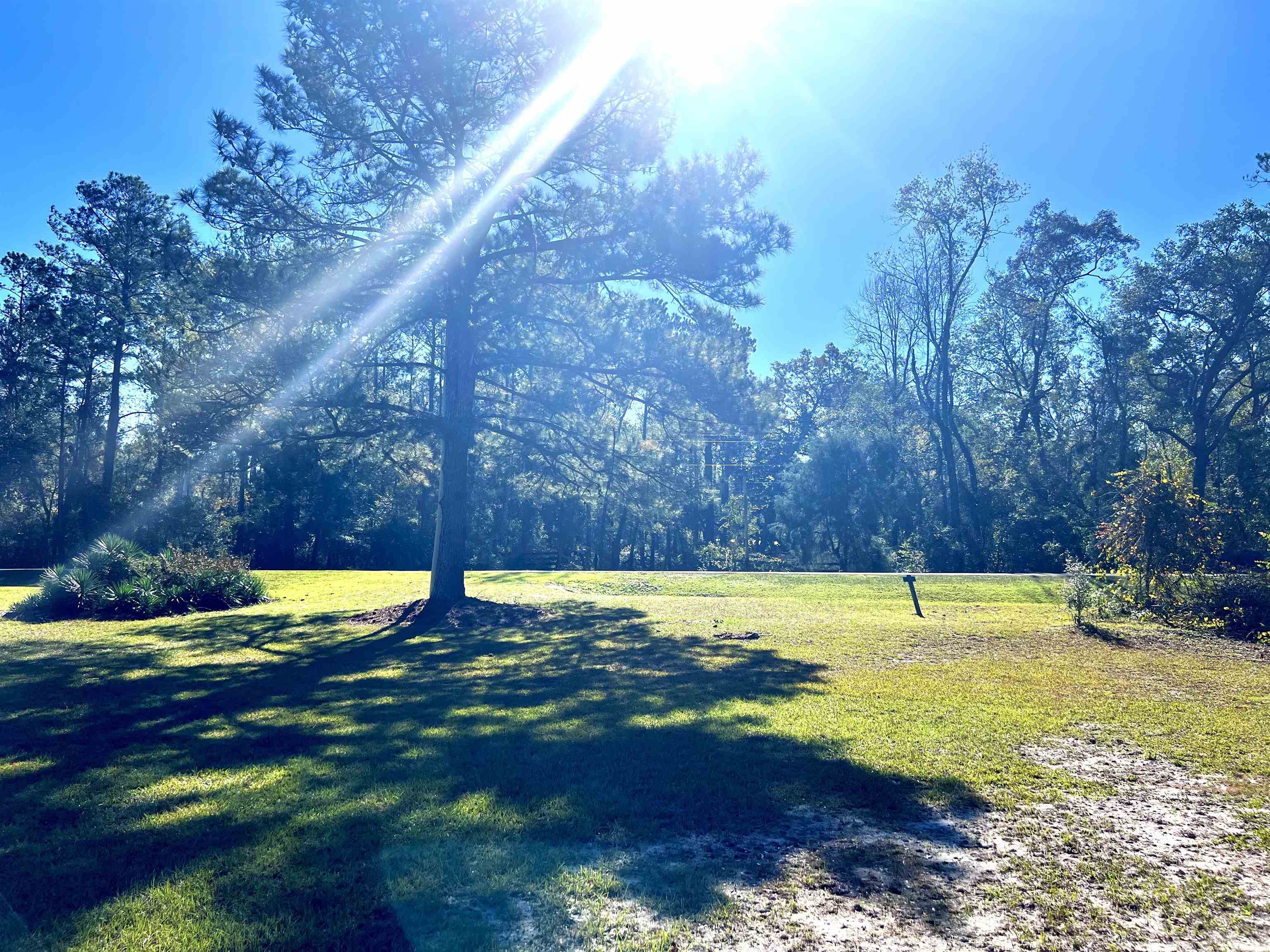 0 Steen Road Monticello, FL 32344 - Photo 2 of 3 Gallery Image 2