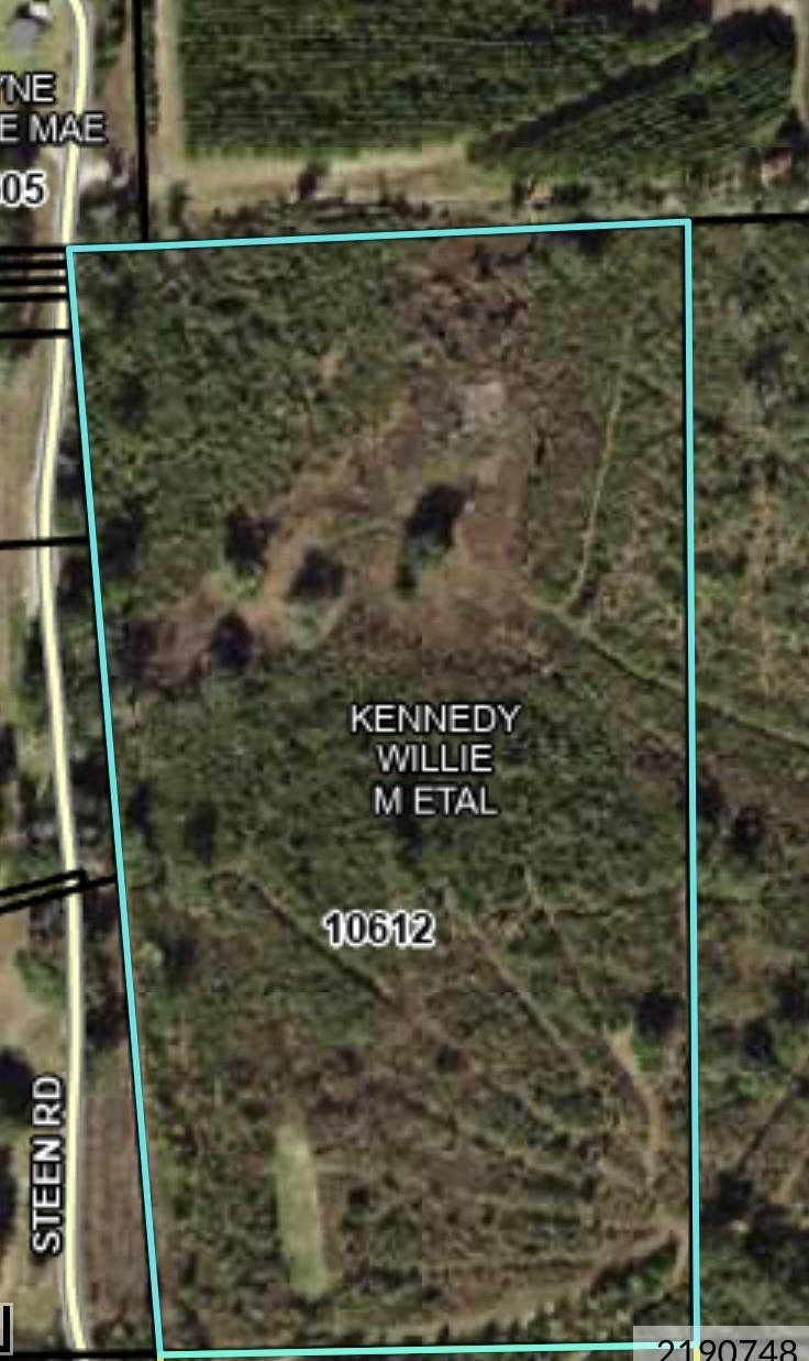 0 Steen Road Monticello, FL 32344 - Photo 3 of 3 Gallery Image 3