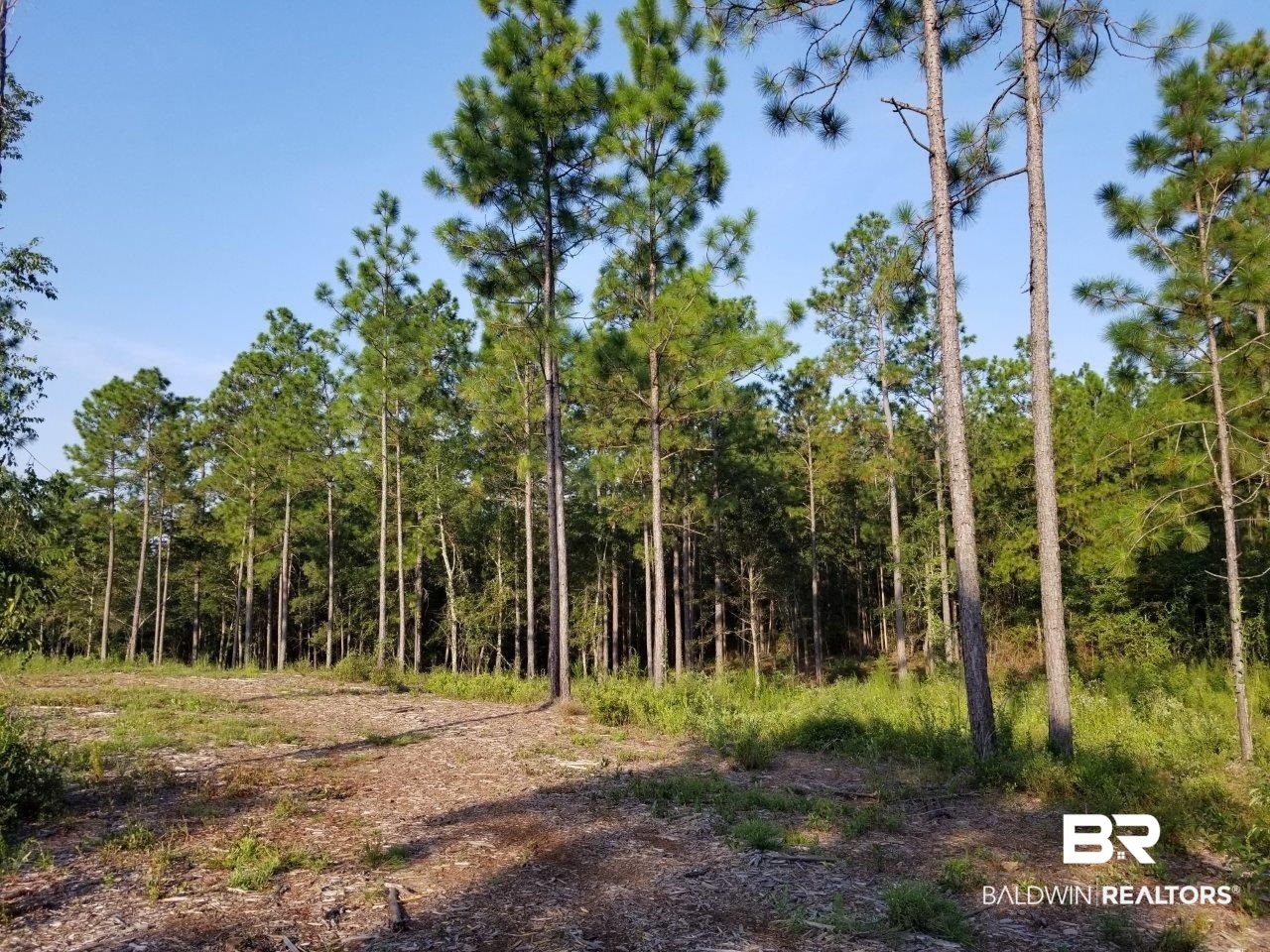 0 Jerkins Loop Atmore, AL 36502 - Photo 32 of 50