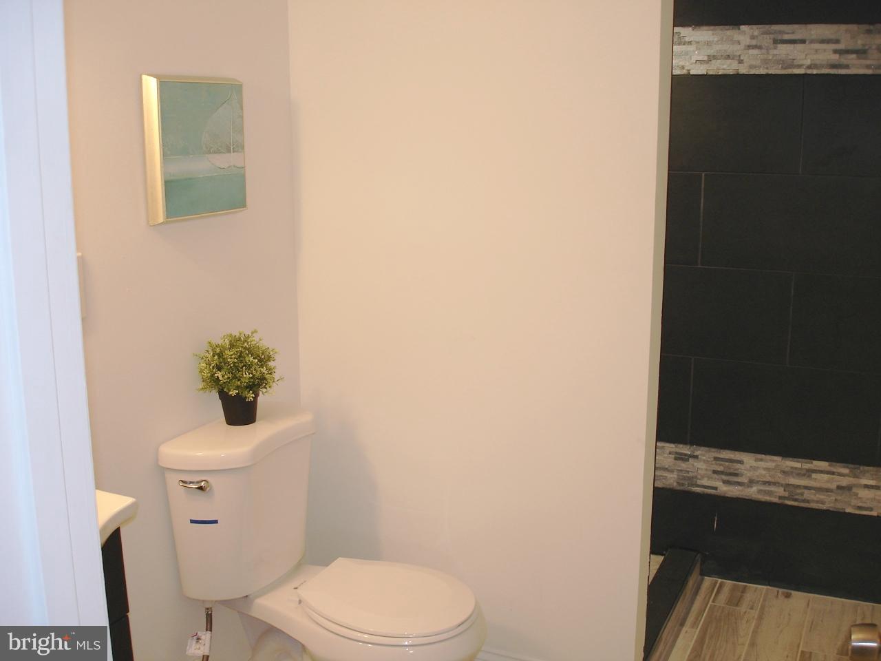4626 Coleherne Road Baltimore, MD 21229 - Photo 26 of 30 LOWER LEVEL FULL BATH